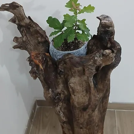 La Foglietta Bed & Breakfast